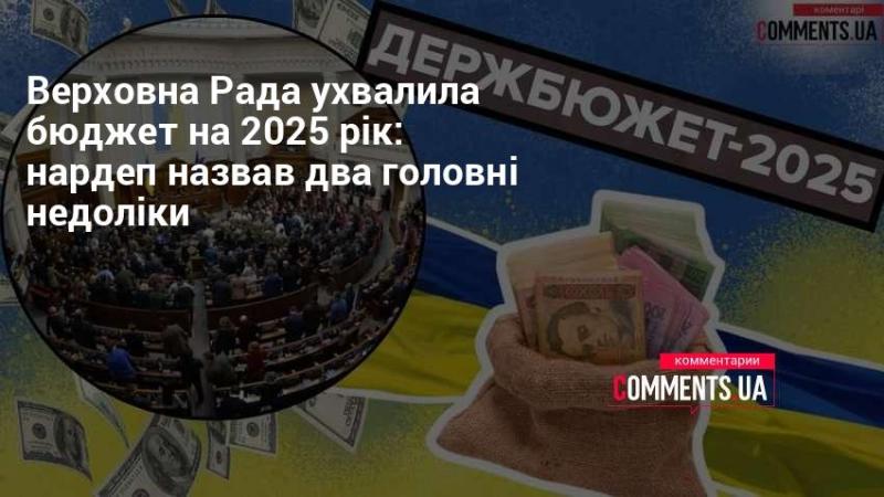 Верховна Рада затвердила бюджет на 2025 рік: депутат вказав на два основні недоліки.